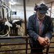 In this Thursday Aug. 15, 2019 photo, dairy farmer Fred Stone pauses while working in the milking room at his farm in Arundel, Maine. Fred Stone and his wife Laura, whose dairy farm is contaminated by toxic chemicals known collectively as PFAS, so-called “forever chemicals,” have high PFAS levels in their blood.